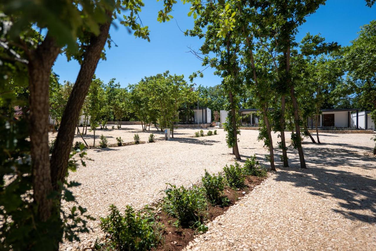 Dionis Camping Zaton Zaton  Exterior photo